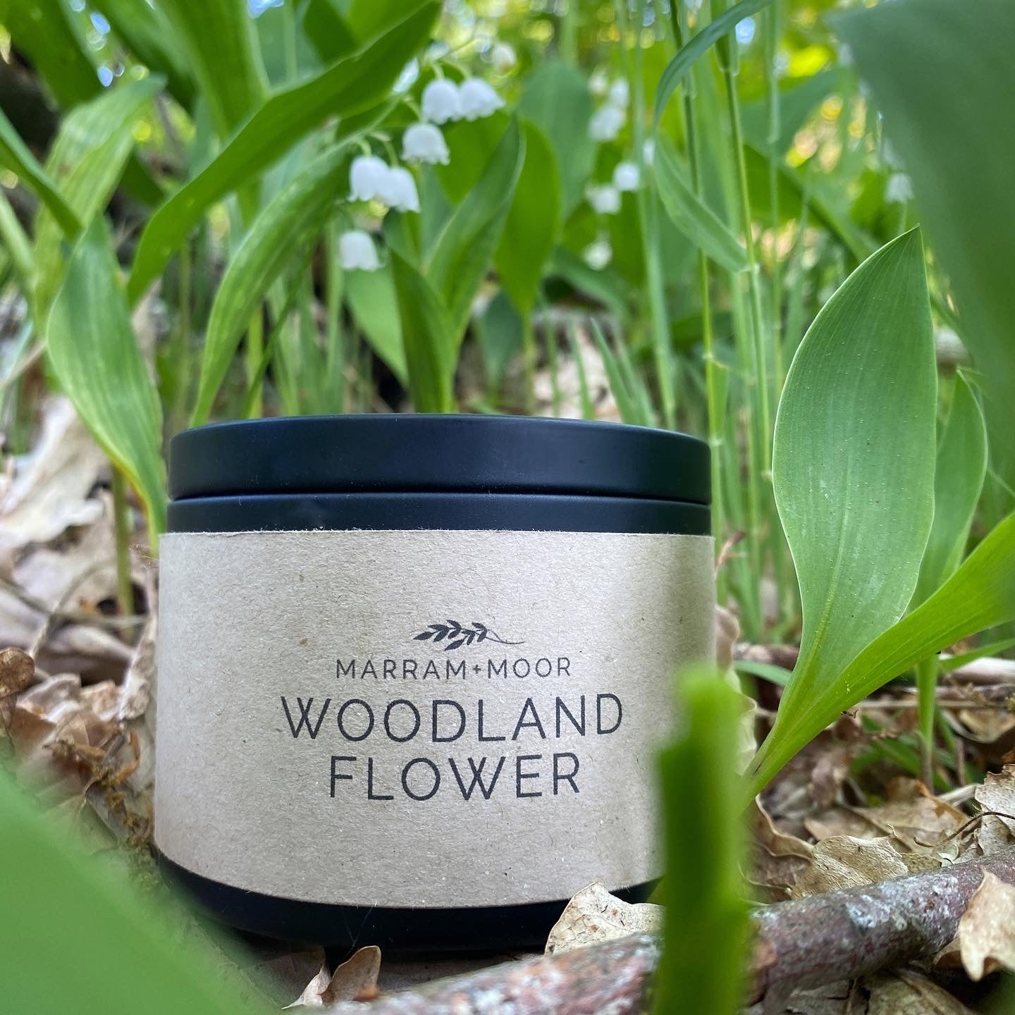 Woodland Flower